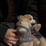 Avatar de Manuel Ortiz